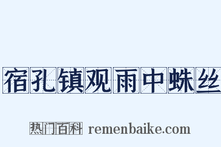 宿孔镇观雨中蛛丝是什么意思的图片